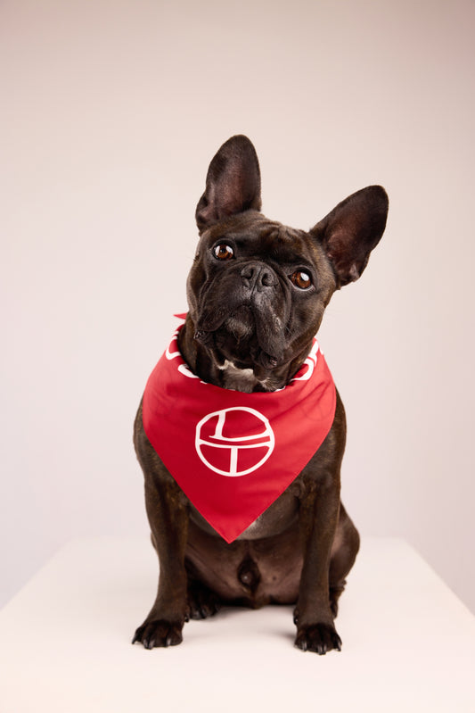 "No Days Off" Dog Bandana